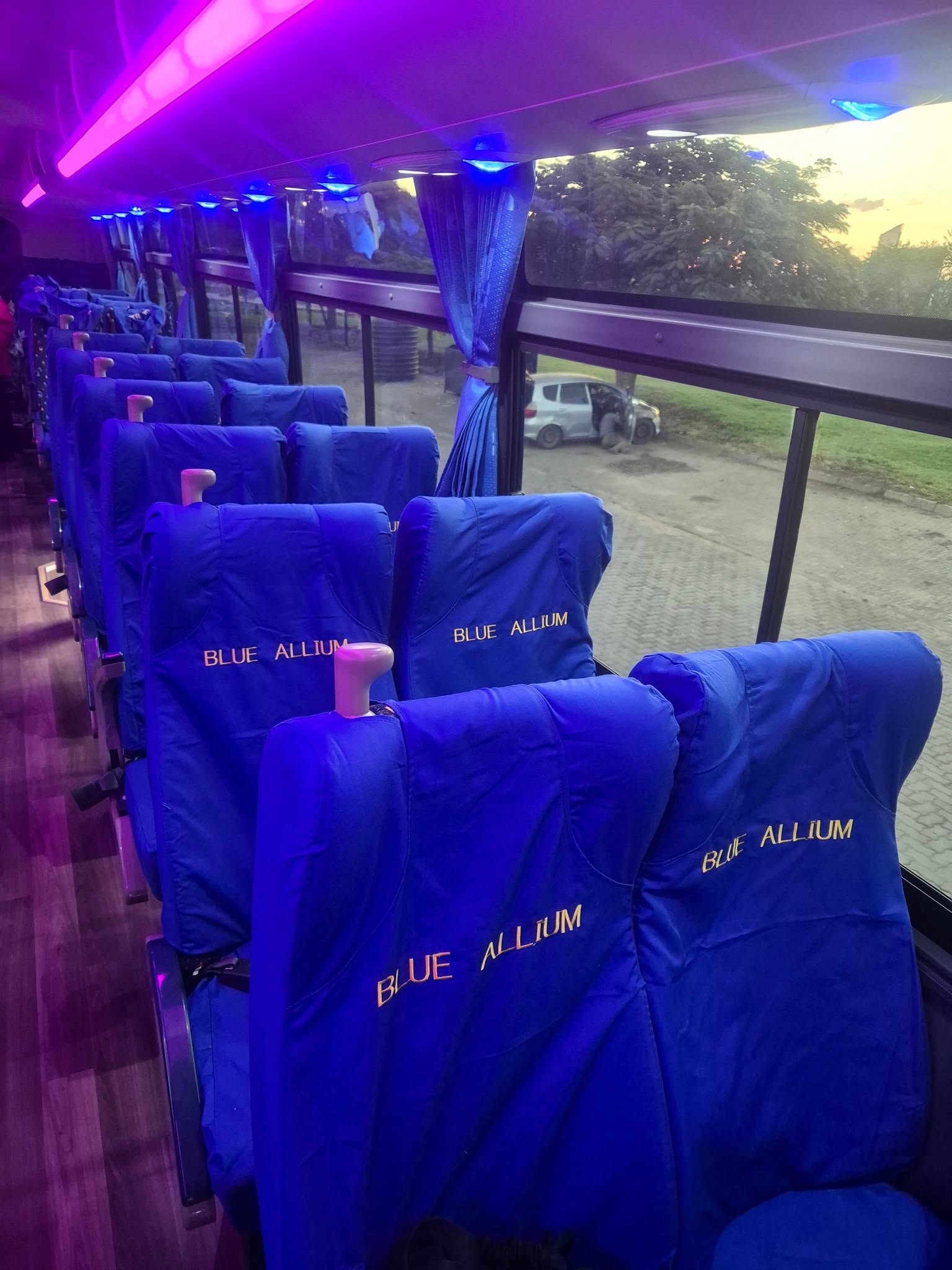 Safari Adventures by Blue Allium Tours