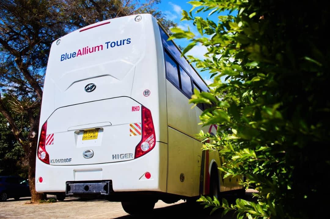 Blue Allium Tours Bus Rear View